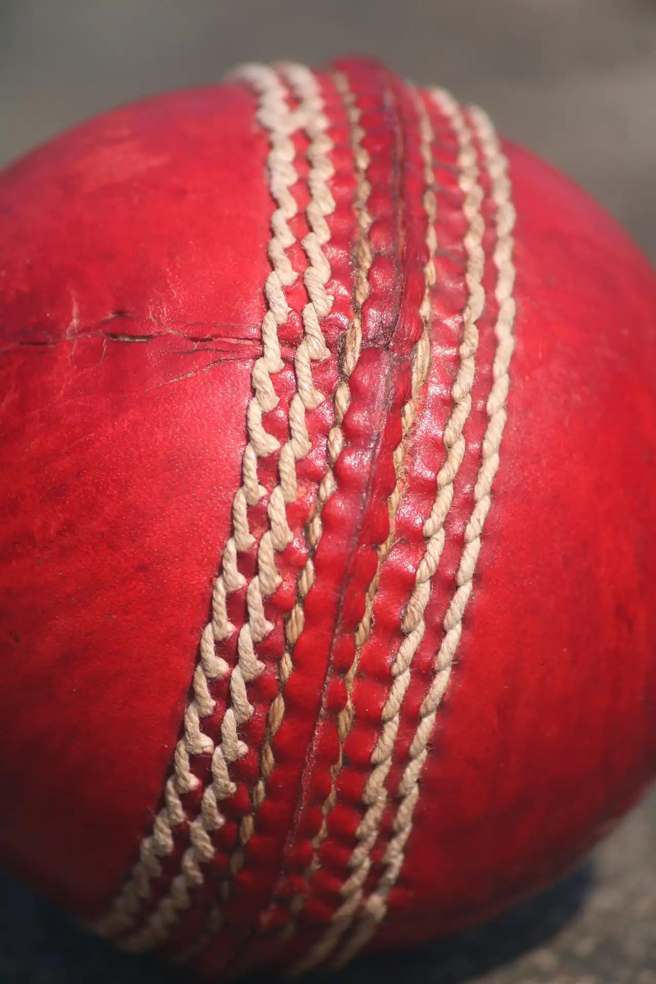 Cricket